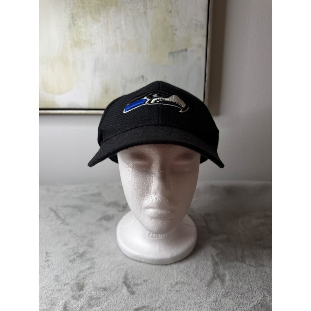 Reebok Seattle Seahawks Hat Mens One Size Black Wool Blend Embroidered Cap